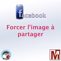 PrestaShop définissez proprement l'image de partage sur les réseaux sociaux