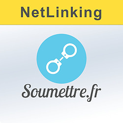 Le service de NetLinking de Soumettre.fr
