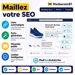 MedSeoAutoLinks - Maillage interne automatique & glossaire SEO public