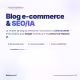 Blog e-commerce & SEO/IA